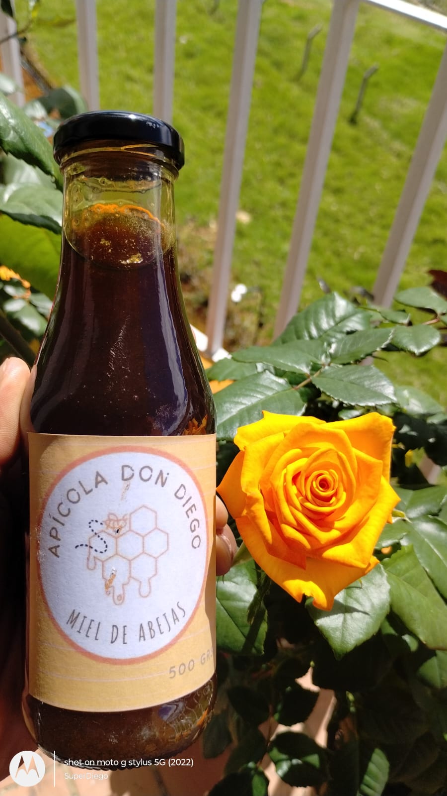 Miel de Abeja 500 Gr