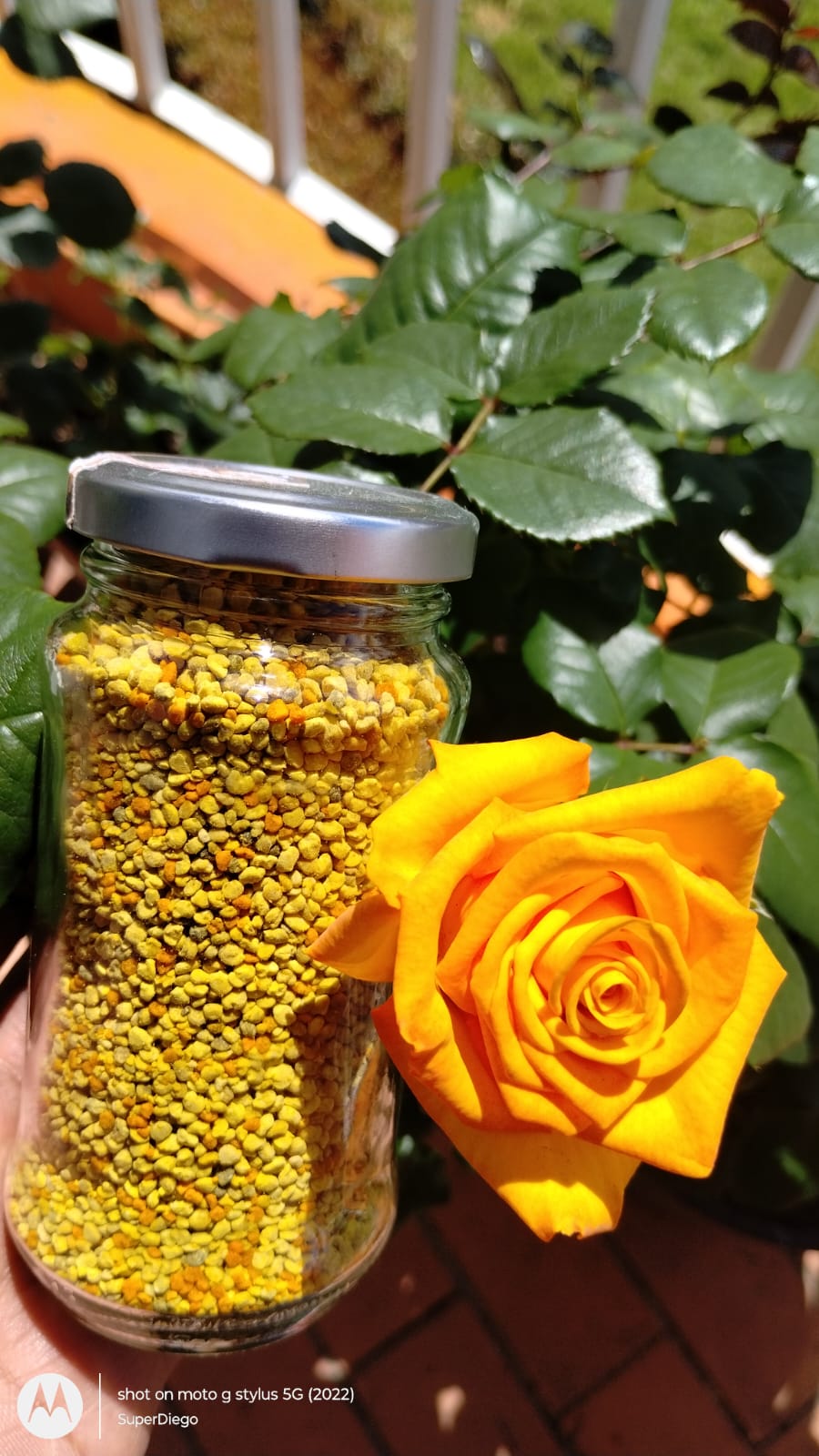 Polen de Abeja 150 Gr